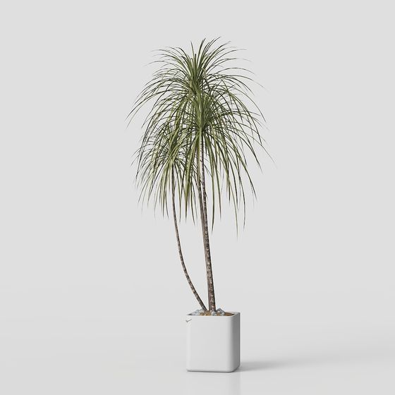 Lively Dragon Blood Tree 3D model for Creative Projects