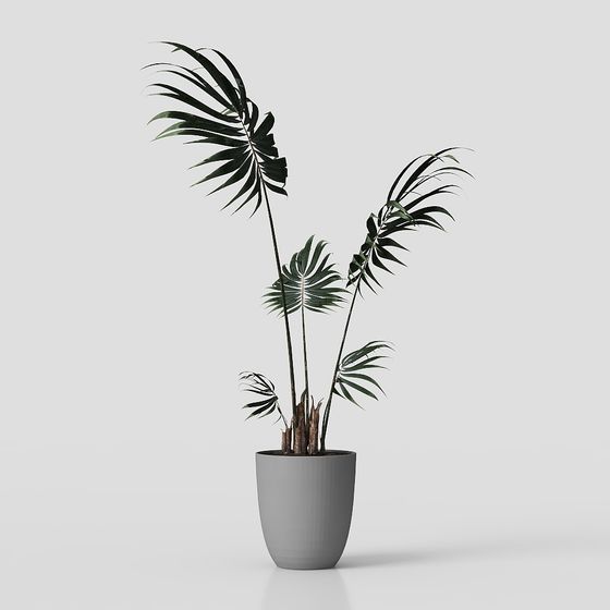 Vibrant Palm Tree 3D model for Modern Settings