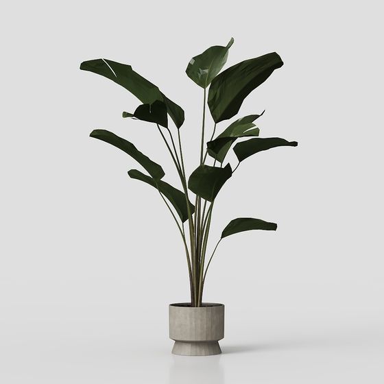 Tropical Green Plant 3D Model for Creative Projects