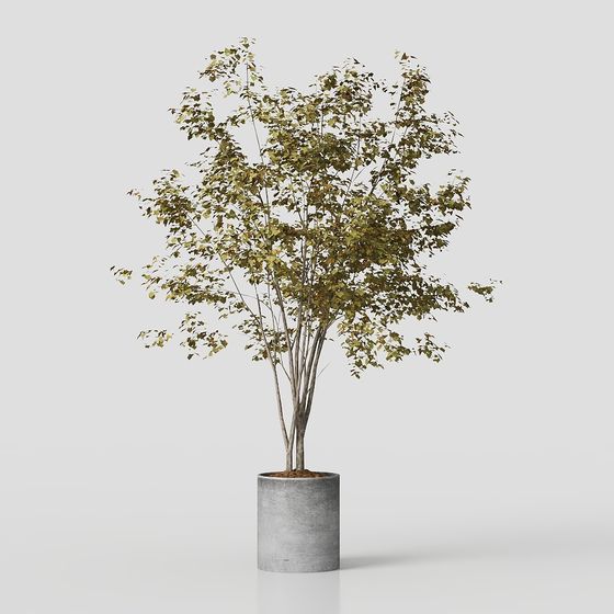 City Oasis 3D model - Low Poly Nature