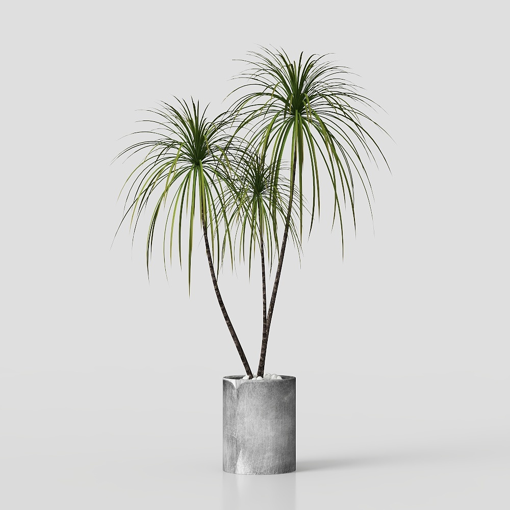 зеленые растения