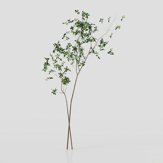 Forest Spirit 3D model - Low Poly Design