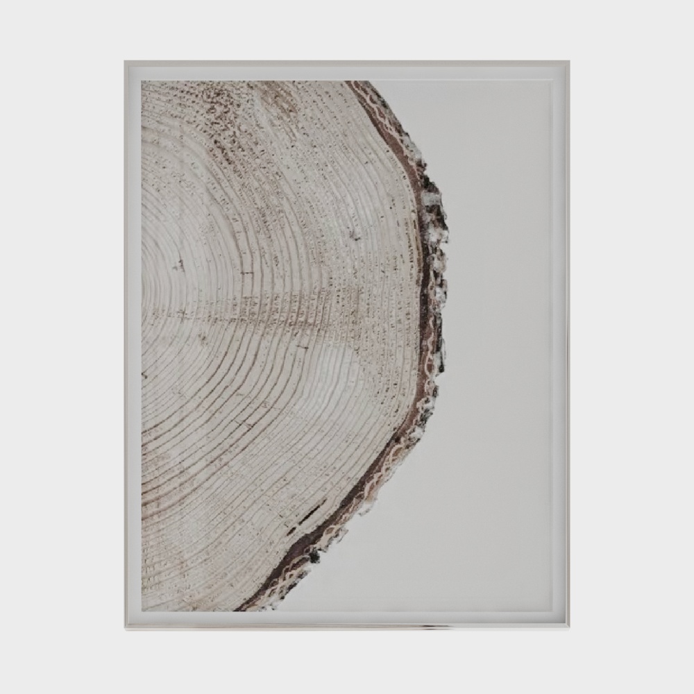 Low Polygon Tree Trunk 3D model