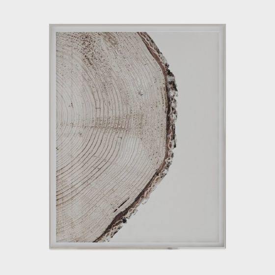 Realistic Tree Trunk 3D model for Creative Designs