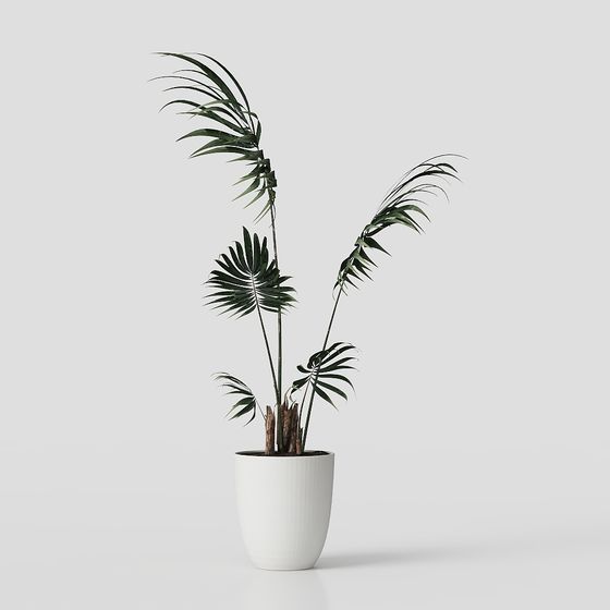 Tropical Potted Plant 3D model
