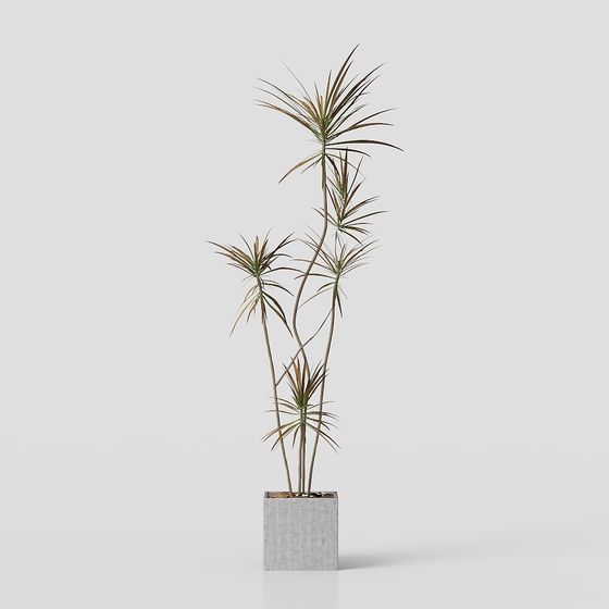 Urban Green Plant Low-Poly 3D Model