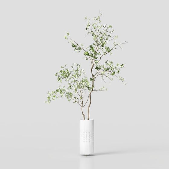 Vibrant Tree 3D Model for Creative Projects