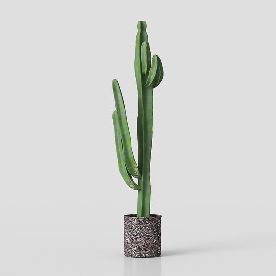 Stylish Low-Poly Cactus 3D model for Creative Projects