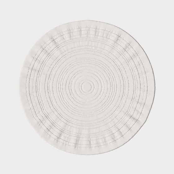 Ripple Circle 3D model