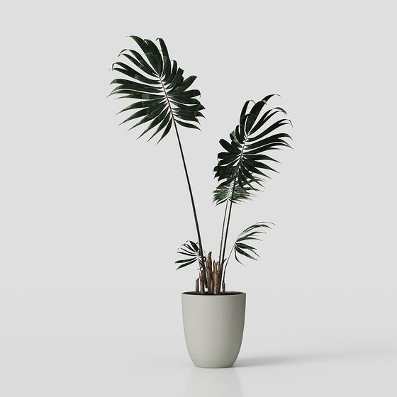 cây xanh hiện đại