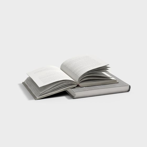 Low Poly Open Book 3D model