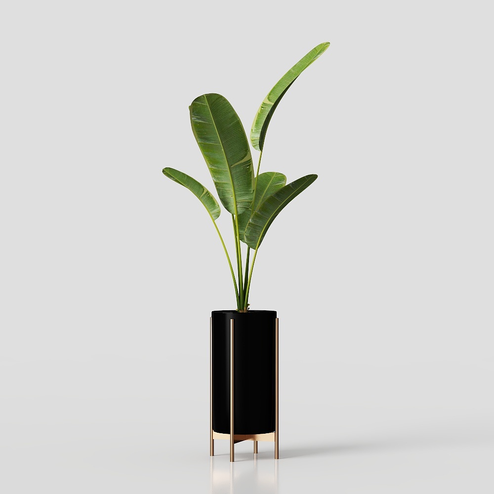 Modern Light Luxury Green Plants