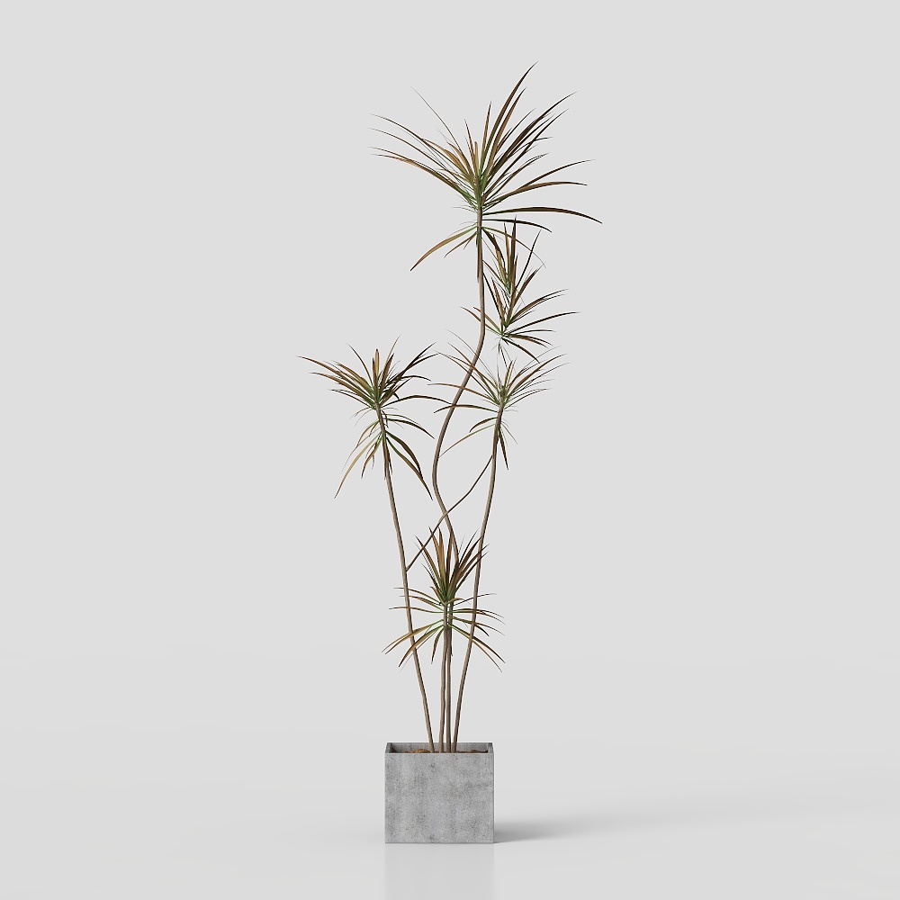 Plantas verdes modernas