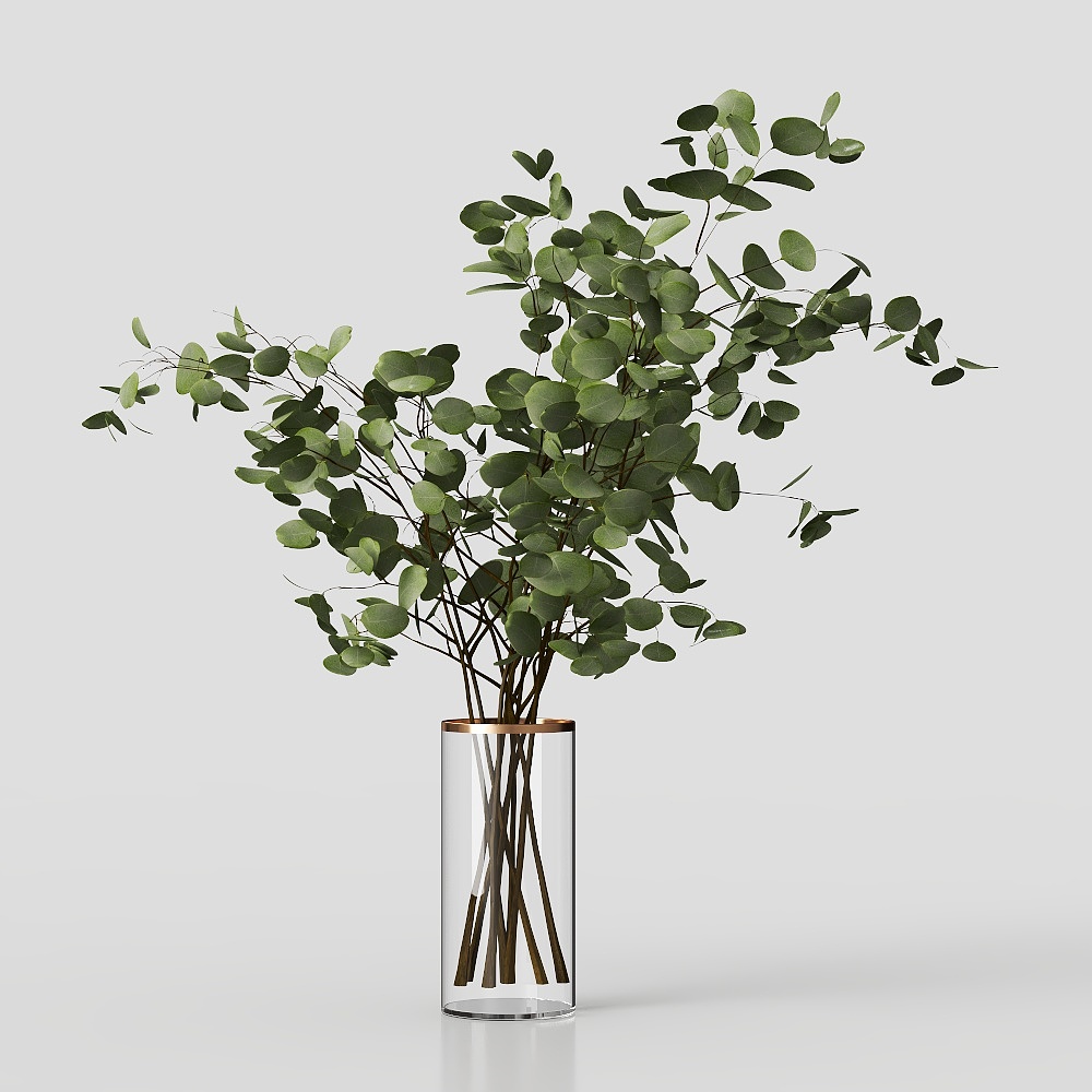 Modern Green Plant Decor