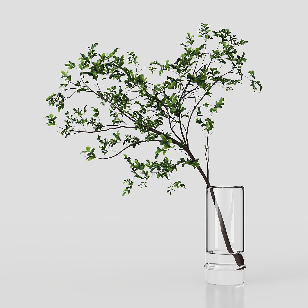 Modern Green Plant Decor