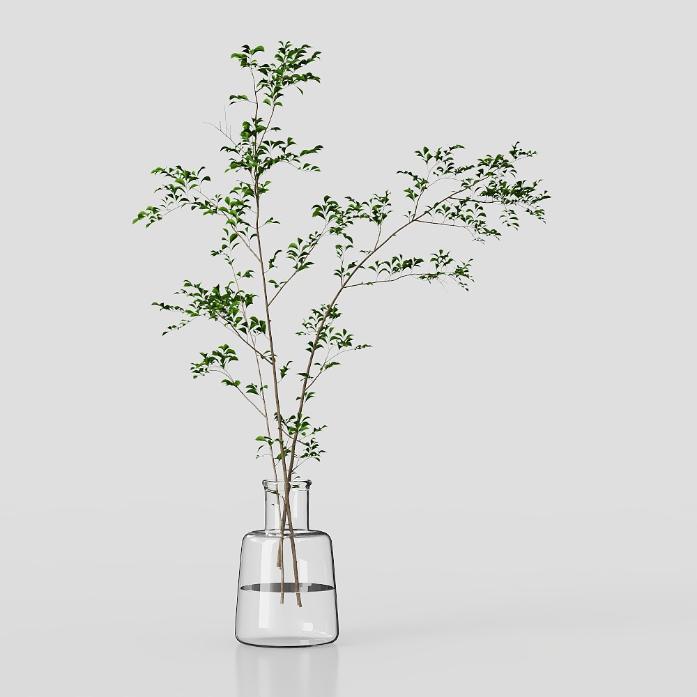 Modern Vase Decor