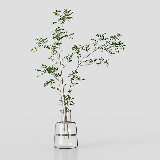 Glass Vase with Green Plant 3D model