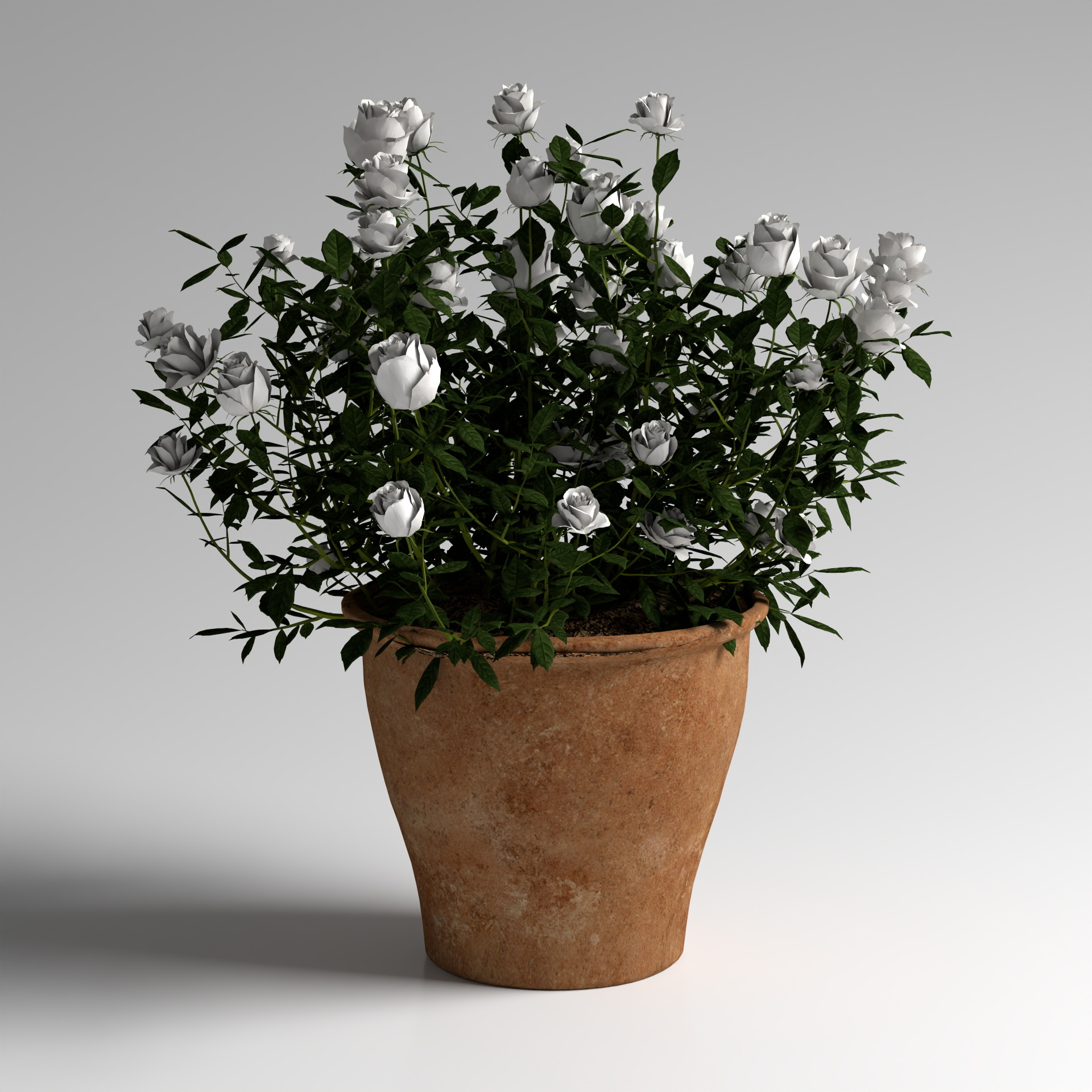 Green Flower Pot 3D Model