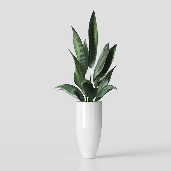 พืชสีเขียวทันสมัย