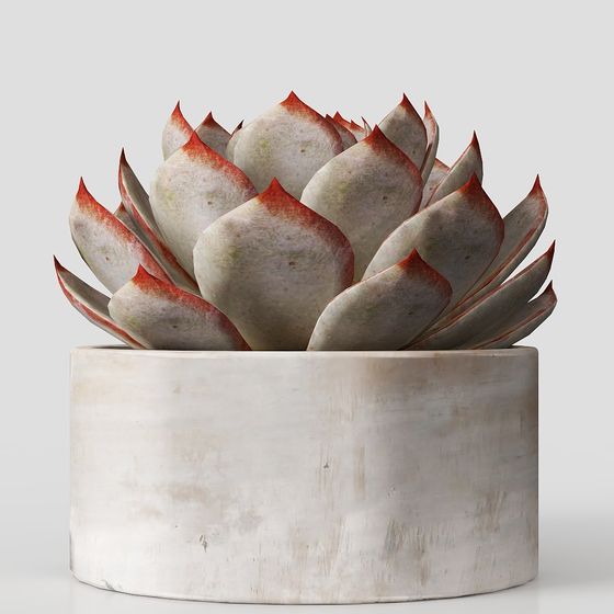 Desert Rose Low Polygon 3D model for Creative Projects