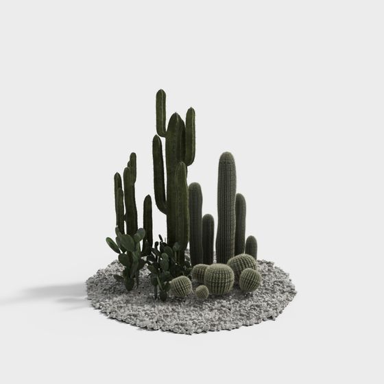 Desert Oasis Cactus Colony 3D model
