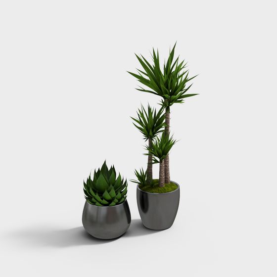 Новый китайский стиль бонсай