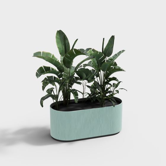 Tropical Plant Pot 3D model for Creative Design