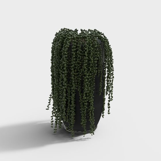 Hanging Jade Pearl 3D model