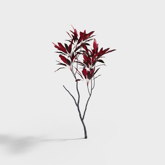 モダンな屋外鉢植え植物