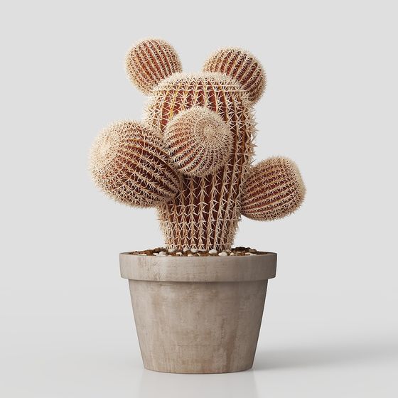 Unique Cactus 3D Model for Creative Projects