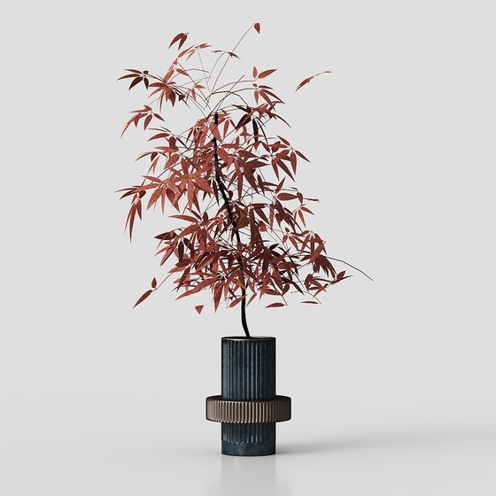 Autumn Leaves Bonsai 3D Model
