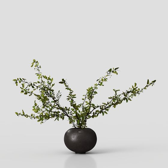 Vibrant 3D Plant Model with Low-Polygon Aesthetic