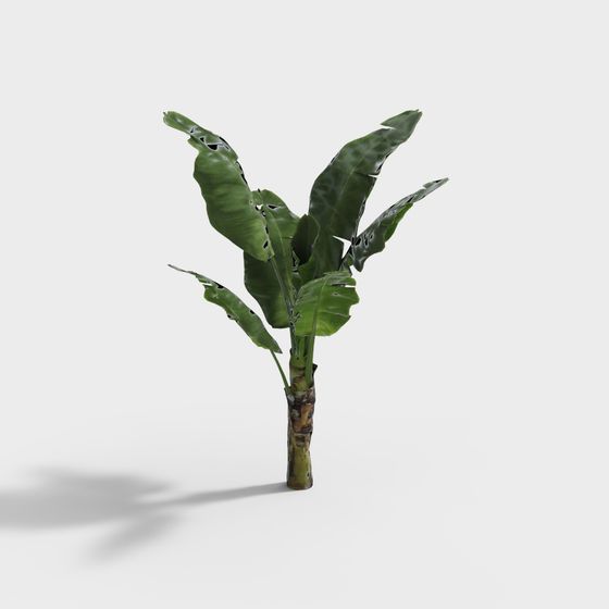 Low-Poly Banana Tree 3D Model for Tropical Scenes