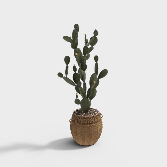 Desert Oasis 3D Model - Indoor Plant Design