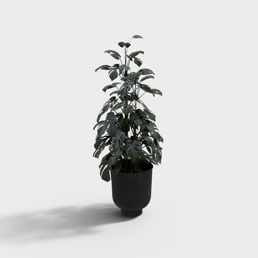 Vasi per Piante Moderni