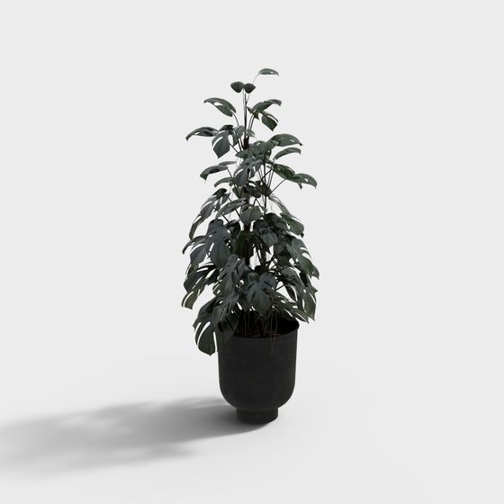 Vasi per Piante Moderni