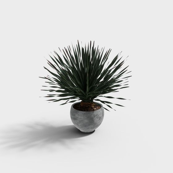 現代的な植物鉢