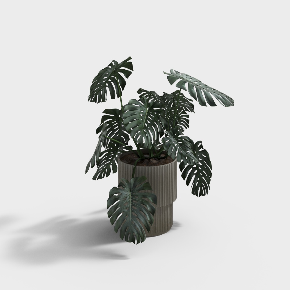 กระถางพืชสมัยใหม่