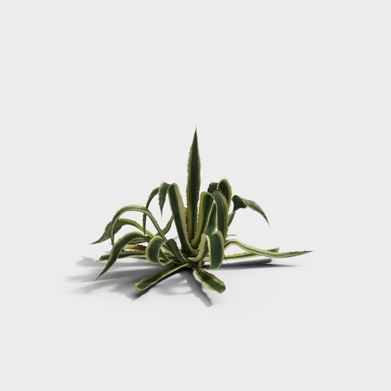 Desert Oasis Low-Poly 3D Model