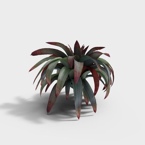 Tropical Plants 3D model for Designers and Developers