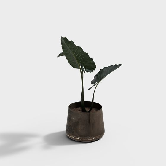 Stylish Indoor Plant 3D model for Creative Projects