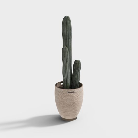 Vibrant Low-Poly Cactus 3D Model