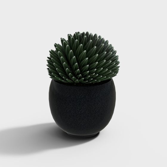 Desert Oasis 3D Model for Contemporary Spaces