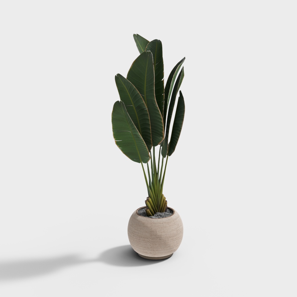 Modern Plant Pots