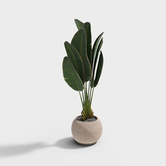 Lifelike Tropical Plant 3D Model for Modern Spaces
