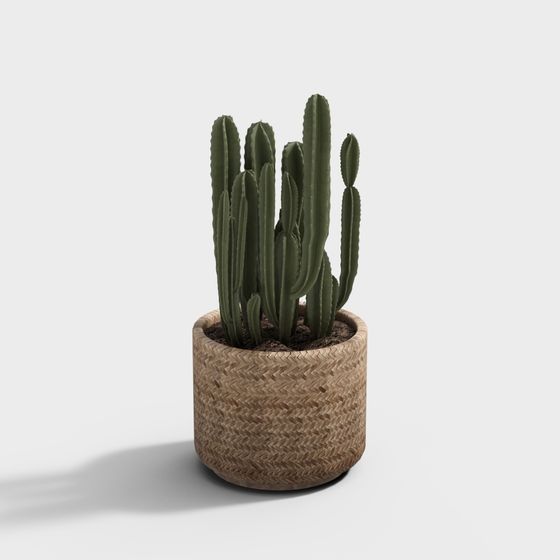 Charming Cactus 3D model for Creative Spaces