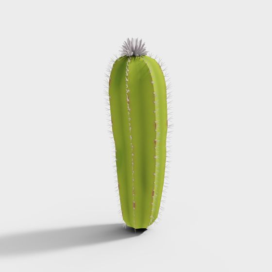 กระบองเพชร