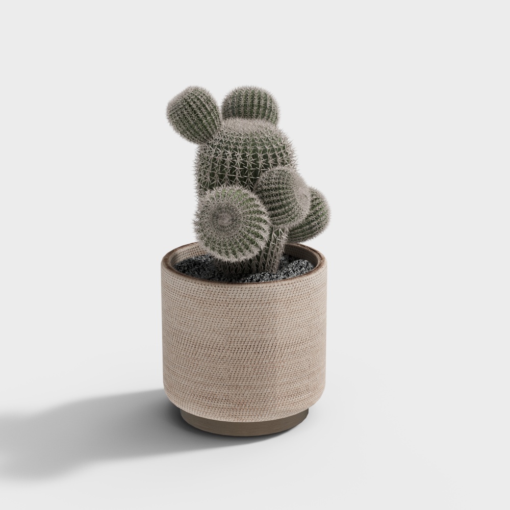Cactus