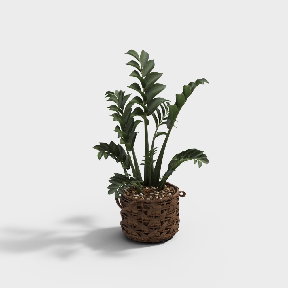 Bamboo Fern Potted Plant 3D model