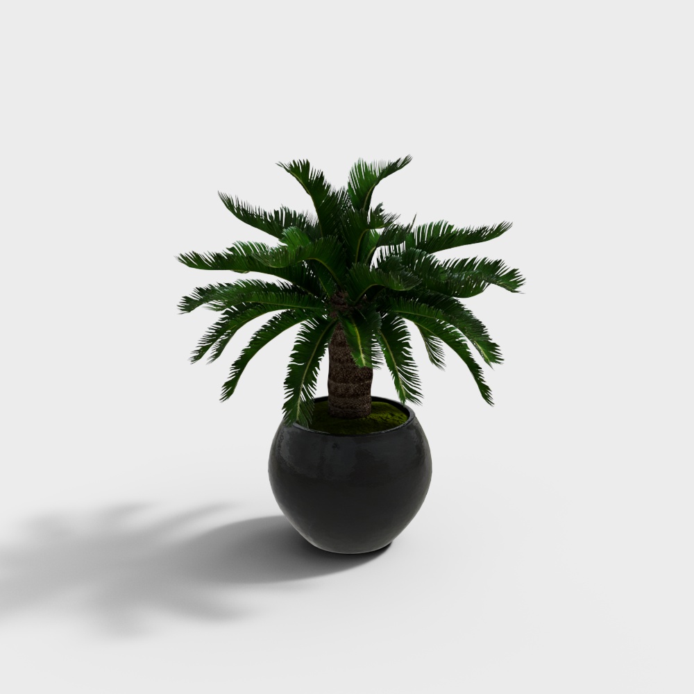 Vasi per piante moderni